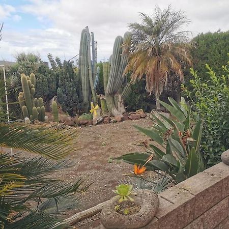 Los Cactus Santa-Cruz de Ténérife Extérieur photo