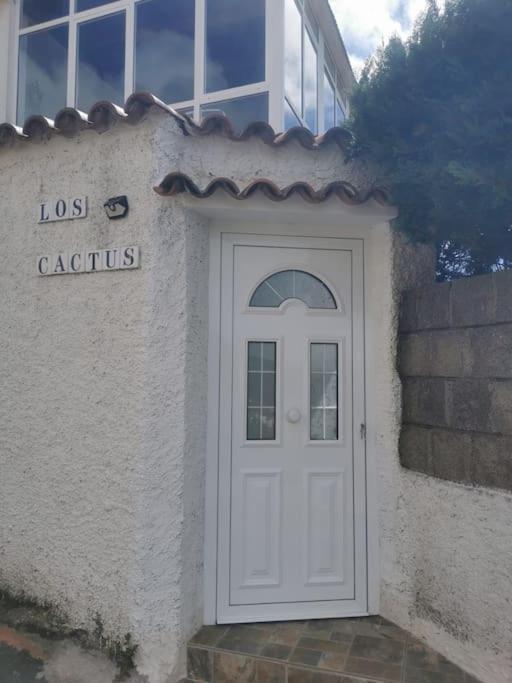 Los Cactus Santa-Cruz de Ténérife Extérieur photo