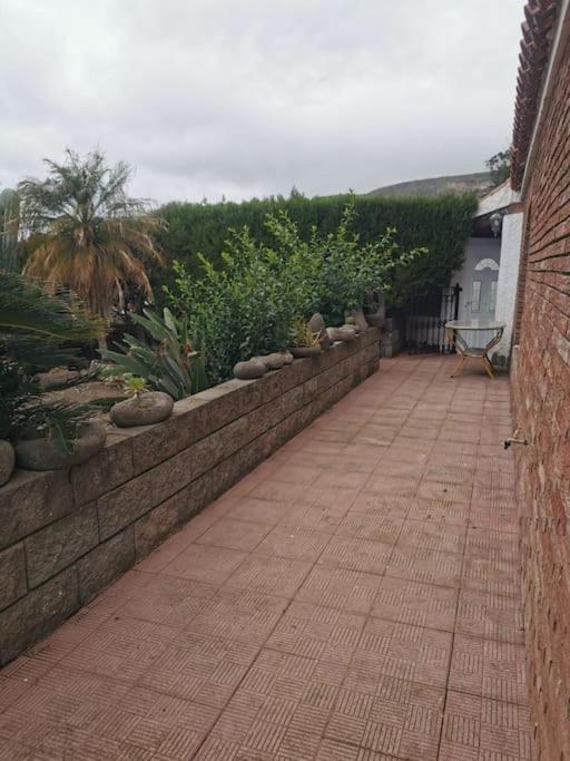 Los Cactus Santa-Cruz de Ténérife Extérieur photo