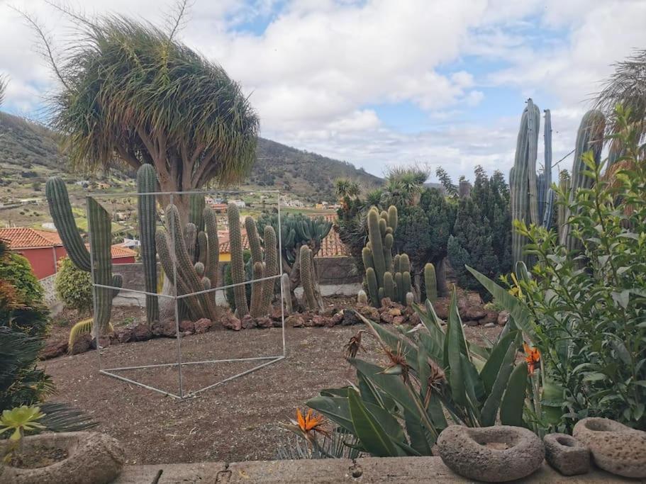 Los Cactus Santa-Cruz de Ténérife Extérieur photo